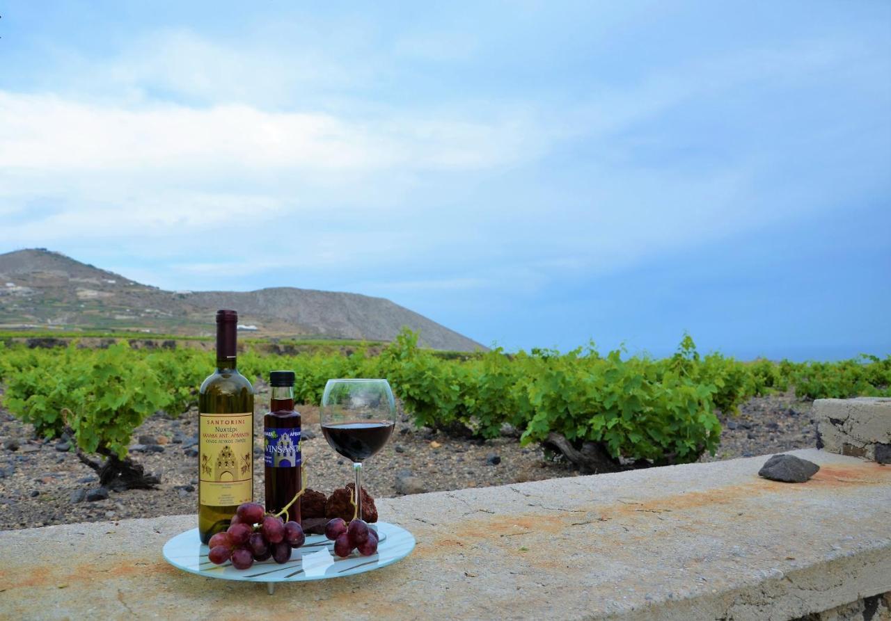 Vineyards Hill Villa Мегалохори Екстериор снимка