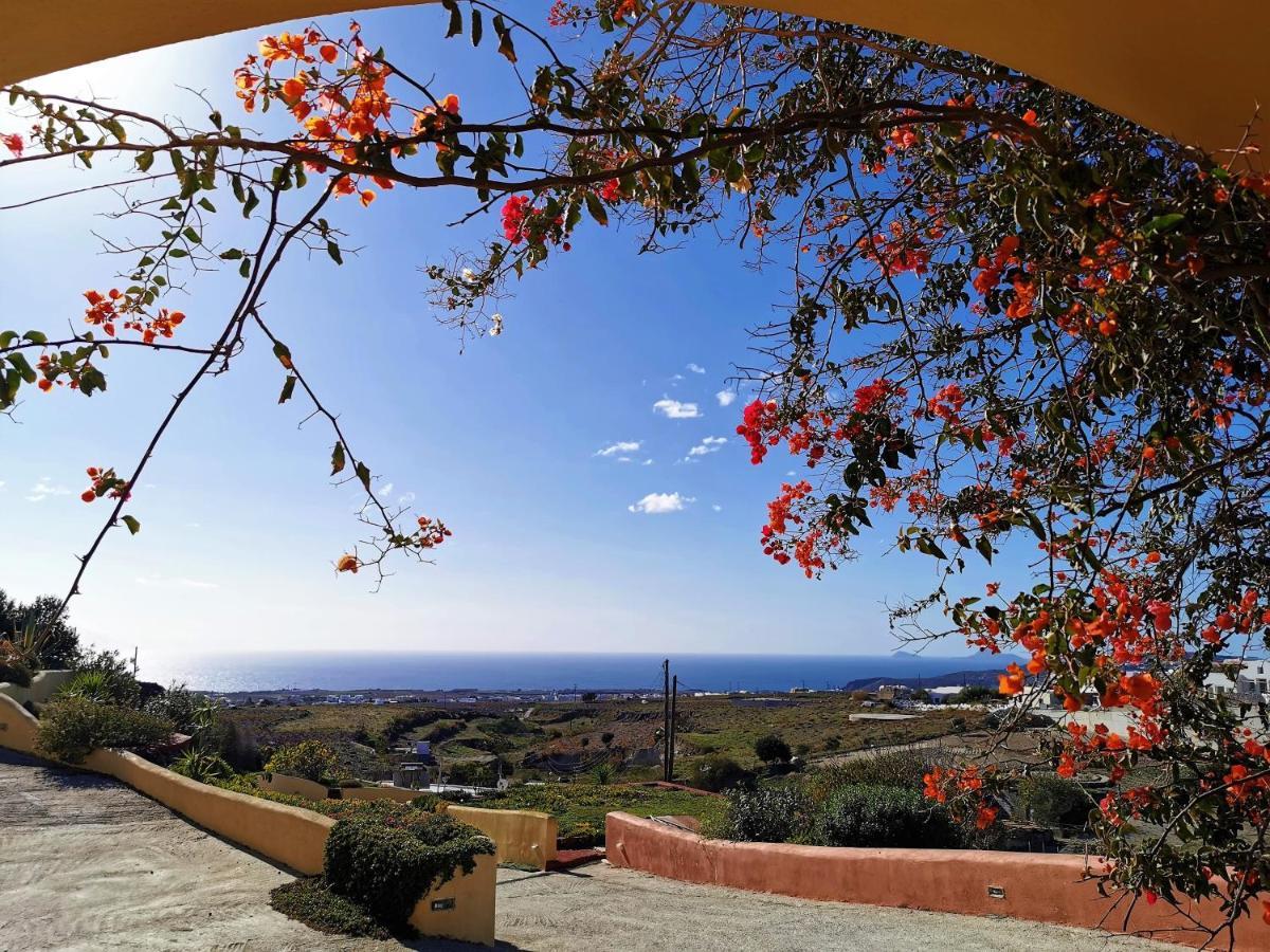 Vineyards Hill Villa Мегалохори Екстериор снимка